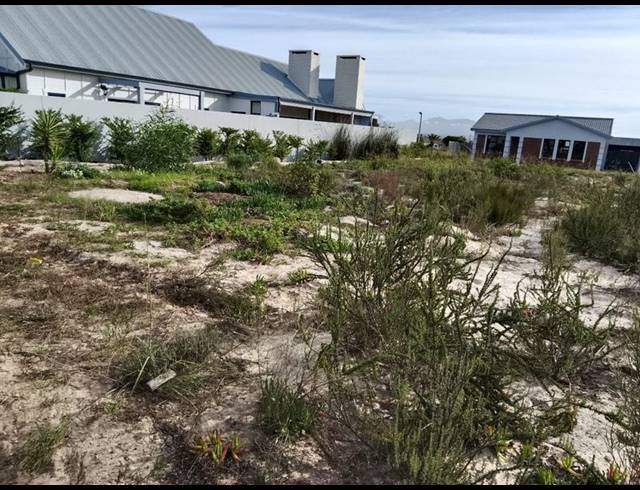 LAND FOR SALE IN ALBERTINIA